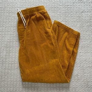 Urban Outfitters | Men’s Corduroy Pant